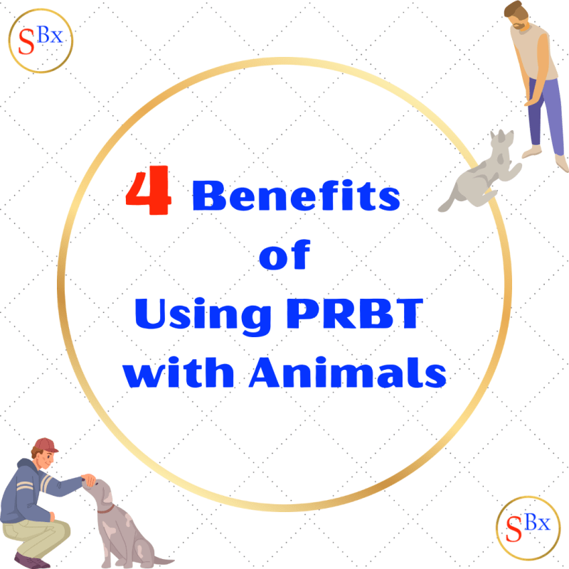 4 Benefits of Using PRBT with&nbsp;Animals